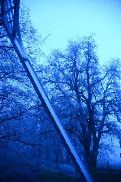 DSC_1060 (Large).JPG